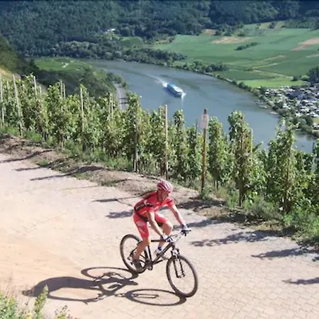 Отель Blesius Garten