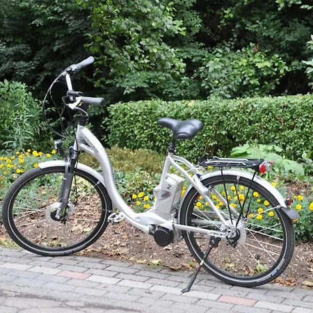 Blesius Garten Hotel Trèves