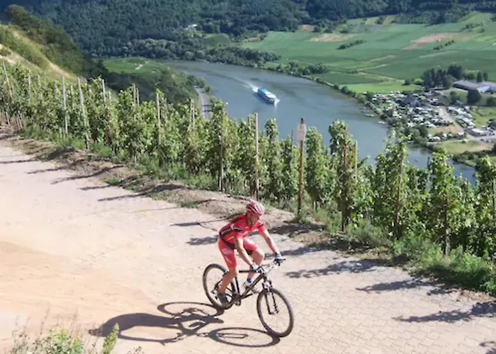 酒店 贝勒索斯伽藤酒店