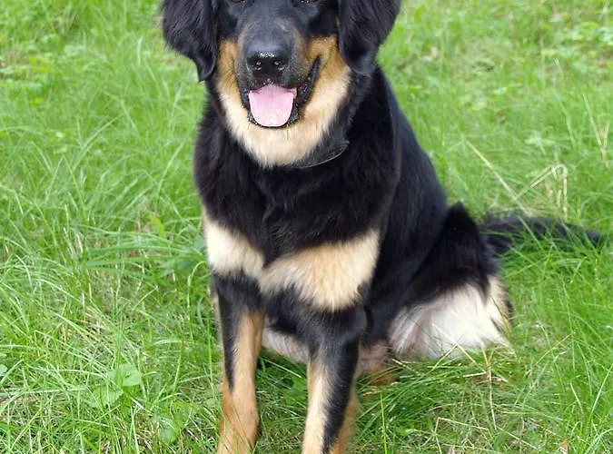 贝勒索斯伽藤酒店 4*