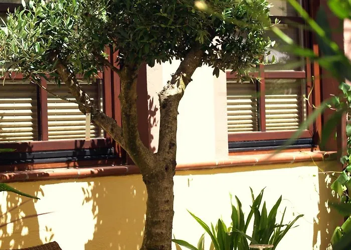 贝勒索斯伽藤酒店 特里尔